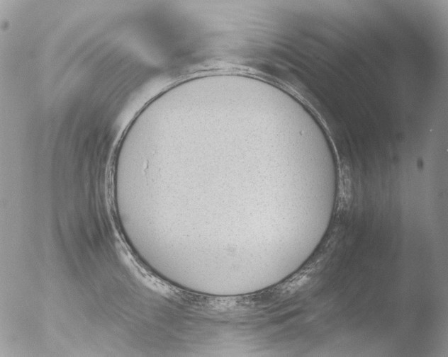 X0000051251098200507152143