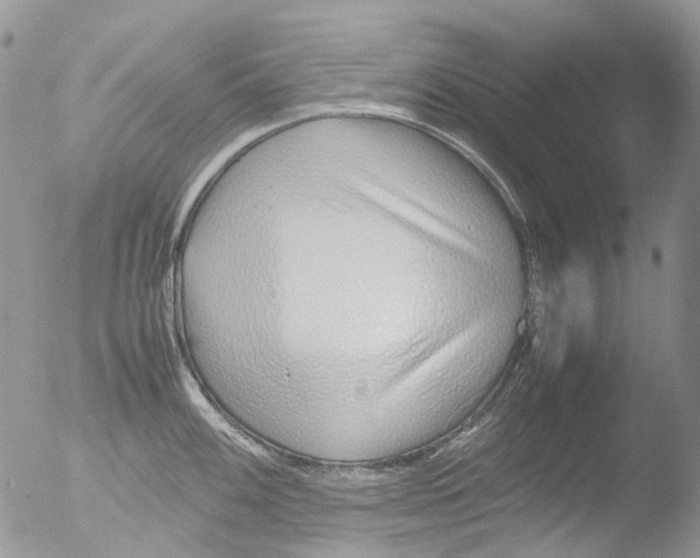 X0000051251100200507152143