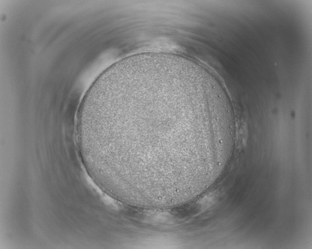 X0000051251103200507152143