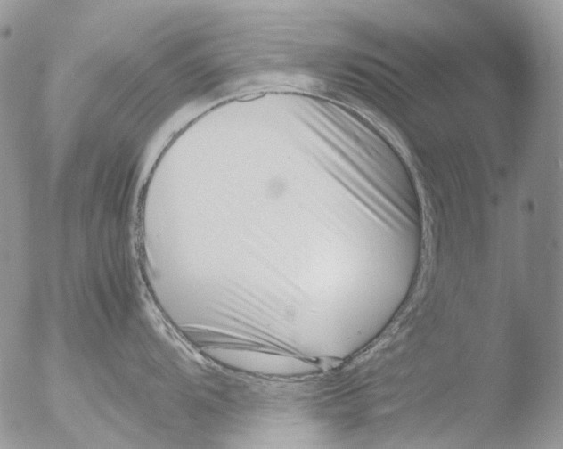 X0000051251104200507152143