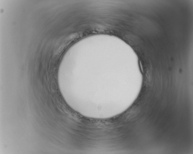 X0000051251105200507152142