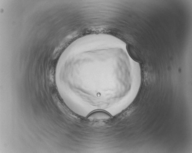 X0000051251106200507152142