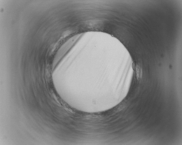 X0000051251107200507152142