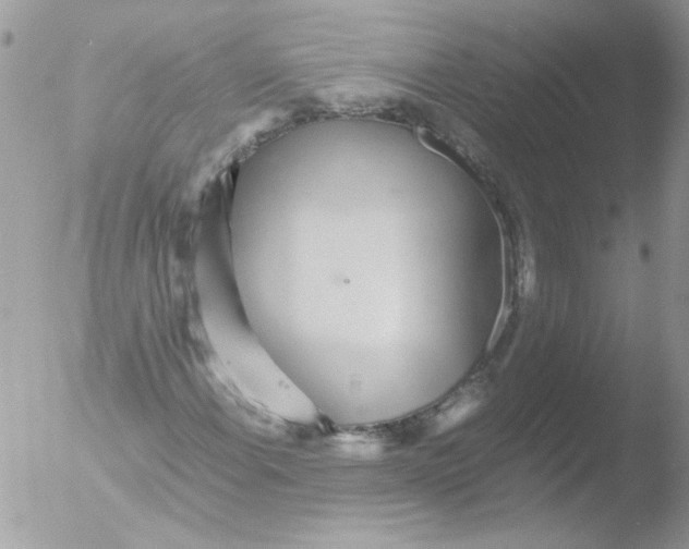 X0000051251108200507152142