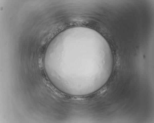 X0000051251109200507152142