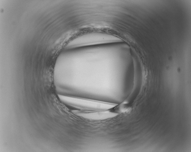 X0000051251110200507152142