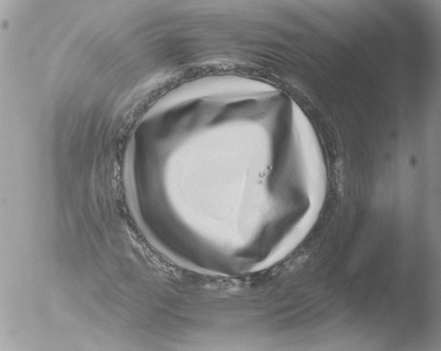 X0000051251111200507152142