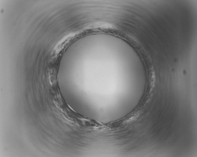 X0000051251112200507152142