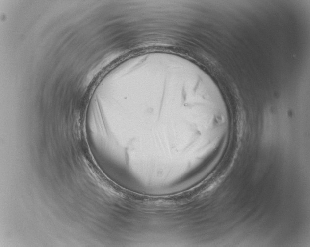 X0000051251113200507152142