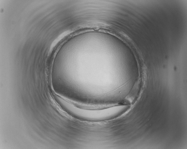 X0000051251114200507152142