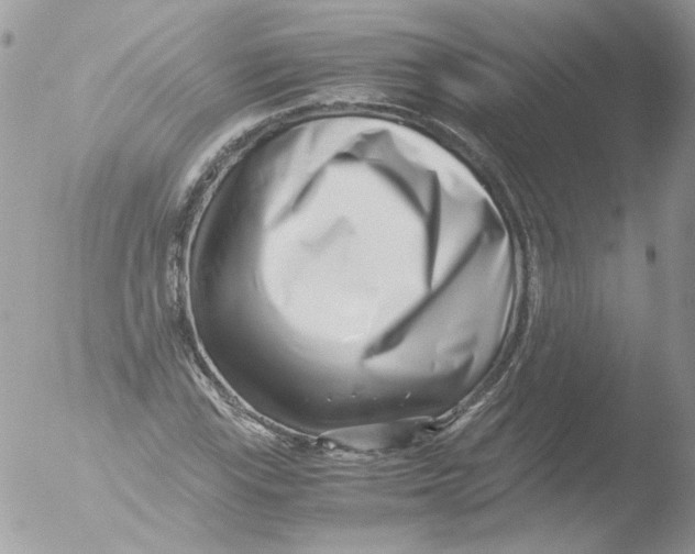 X0000051251115200507152142