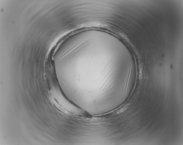 X0000051251116200507152142