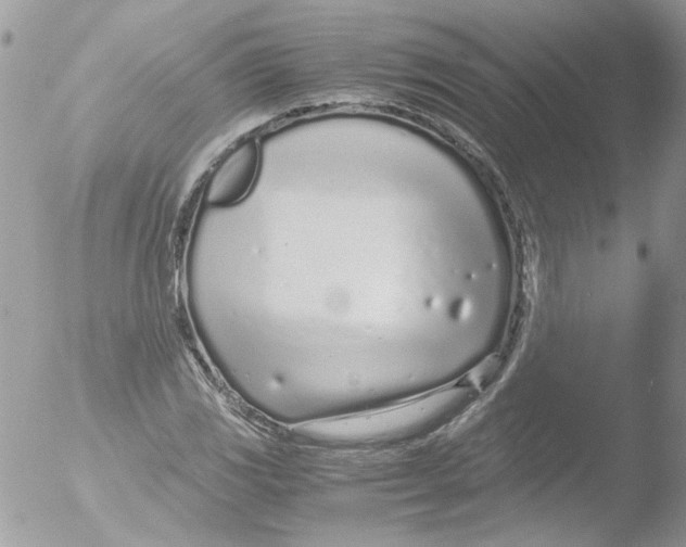 X0000051251117200507152142