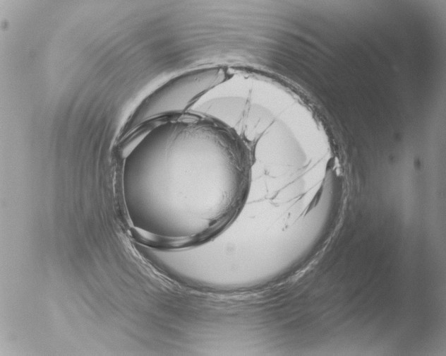 X0000051251118200507152142