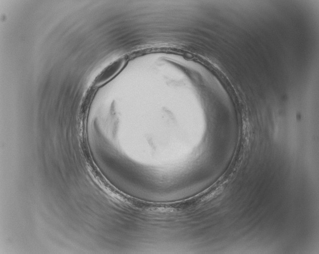 X0000051251119200507152142