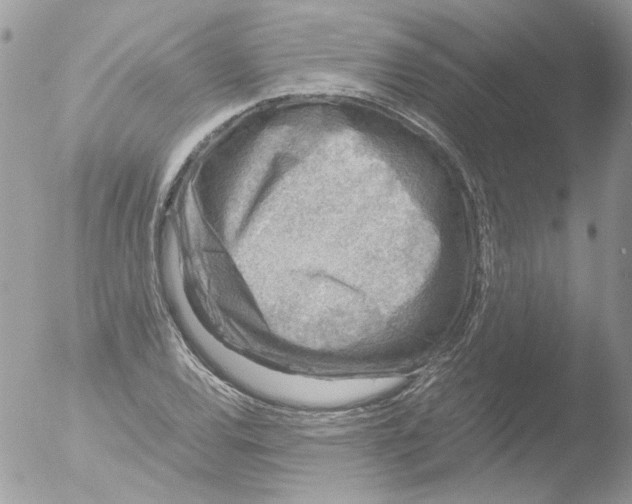 X0000051251120200507152142