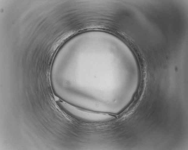 X0000051251121200507152142