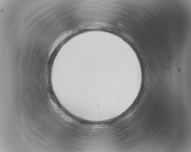 X0000051251122200507152142