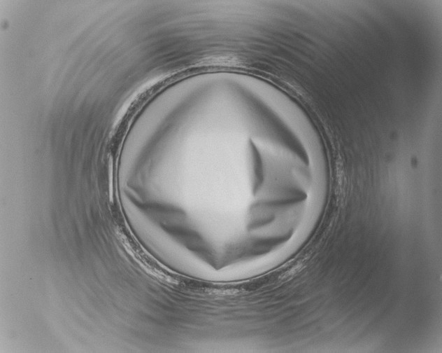 X0000051251123200507152142