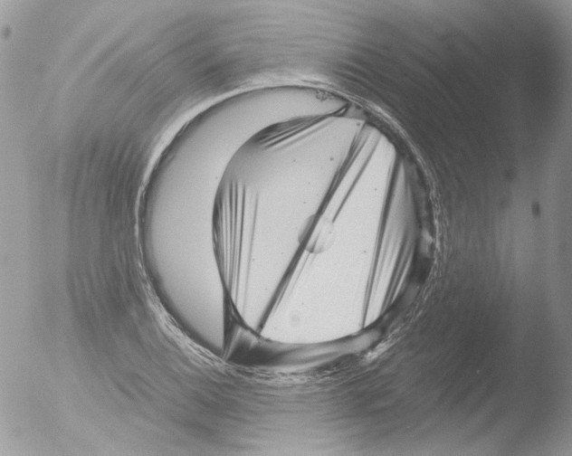 X0000051251124200507152142