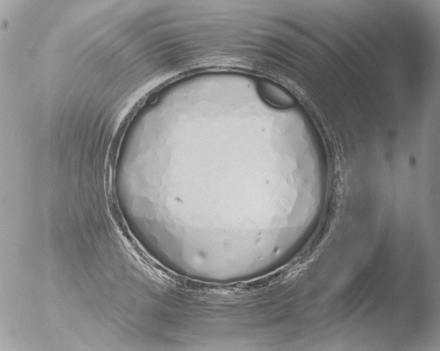 X0000051251125200507152142