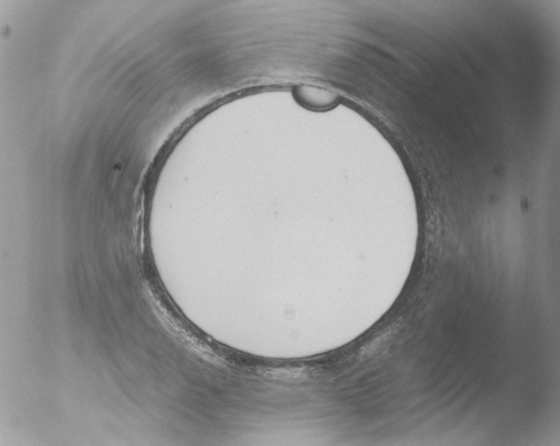 X0000051251126200507152142