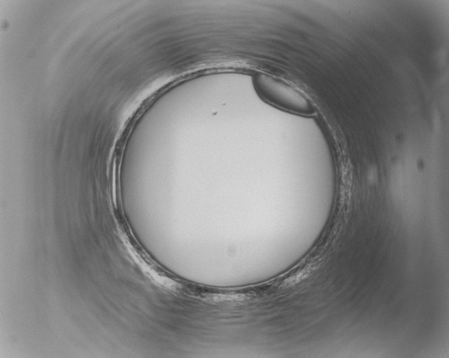 X0000051251127200507152142