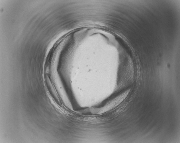 X0000051251128200507152142