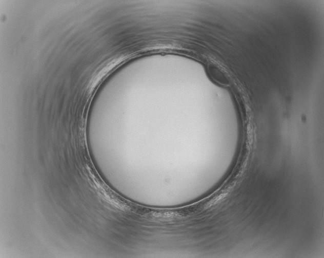 X0000051251129200507152142