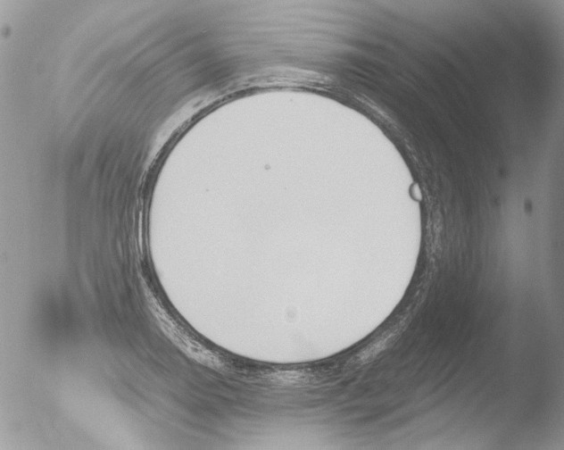 X0000051251130200507152143