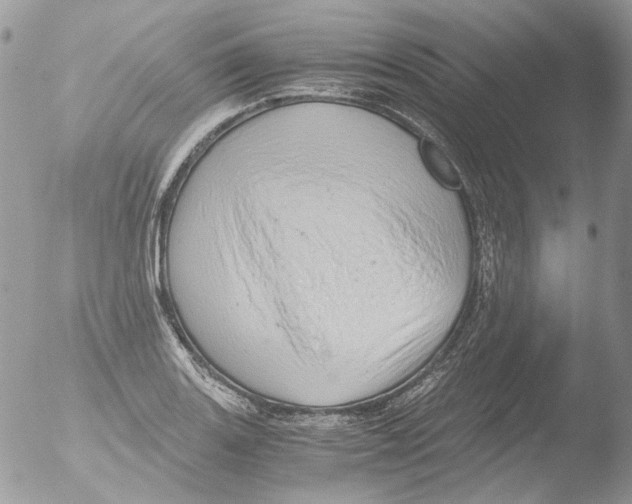 X0000051251131200507152143