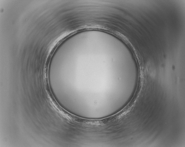 X0000051251133200507152143