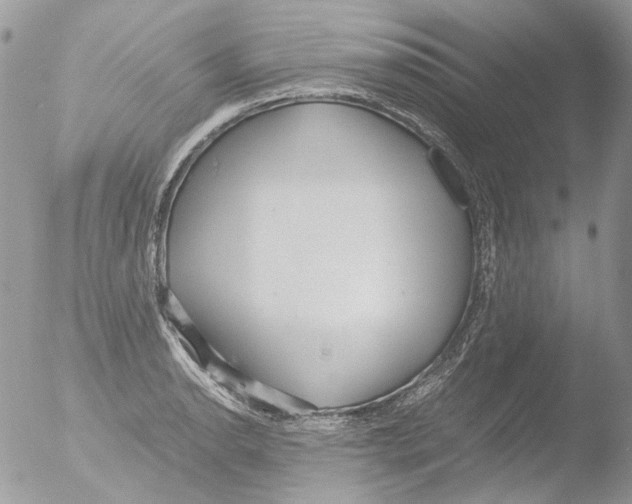 X0000051251134200507152143