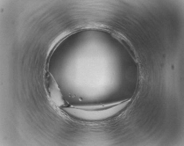 X0000051251138200507152143