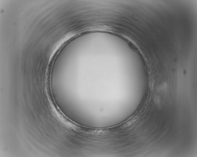 X0000051251139200507152143