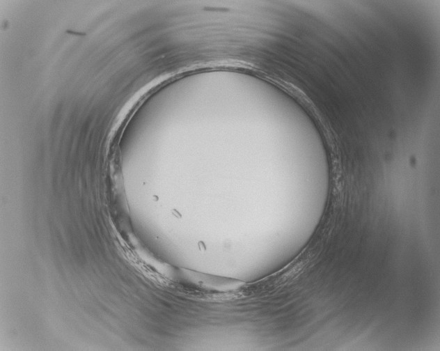 X0000051251140200507152143