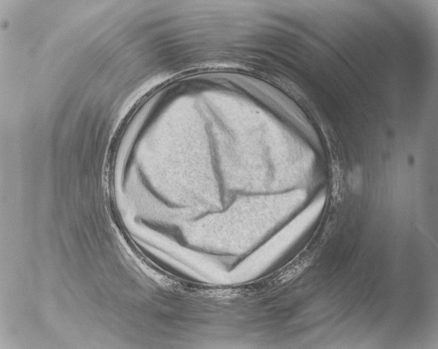 X0000051251141200507152143