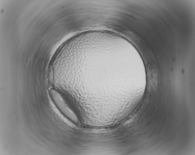 X0000051251142200507152143