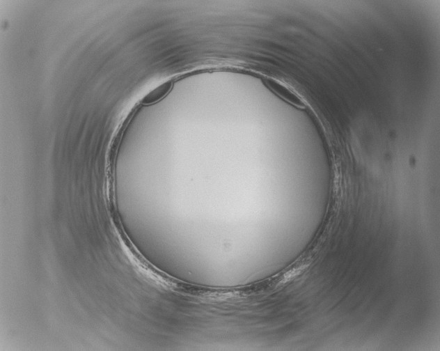 X0000051251143200507152143