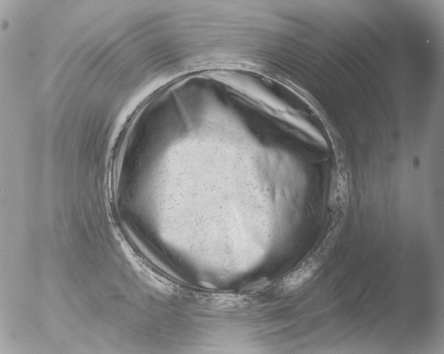 X0000051251144200507152143