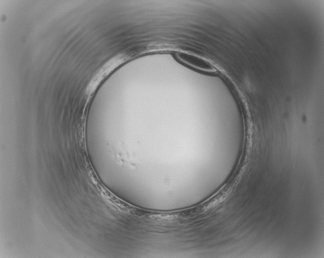 X0000051251145200507152143