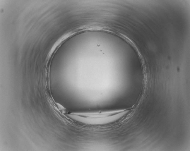 X0000051251146200507152143