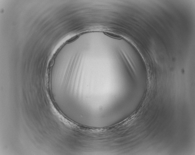 X0000051251147200507152143