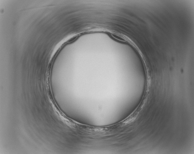 X0000051251149200507152143