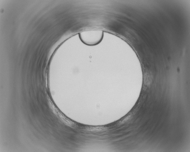 X0000051251150200507152143