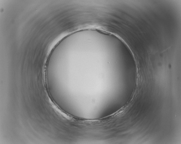 X0000051251151200507152143