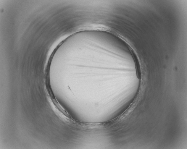 X0000051251152200507152143