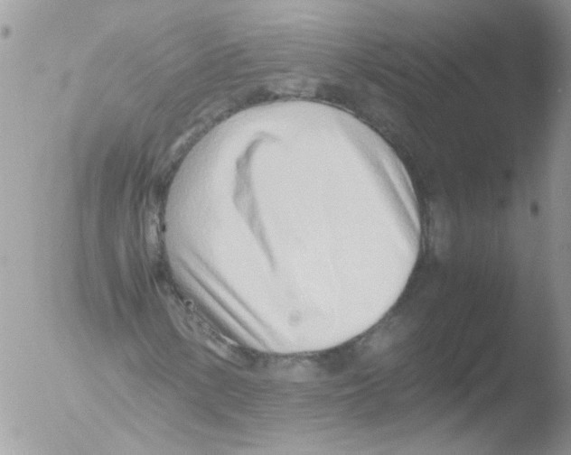 X0000051251154200507152142