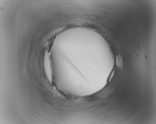 X0000051251155200507152142