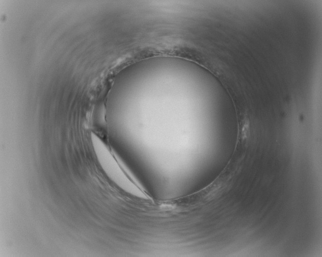 X0000051251156200507152142